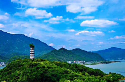 2017年建德人口_建德年间青花瓷器(2)