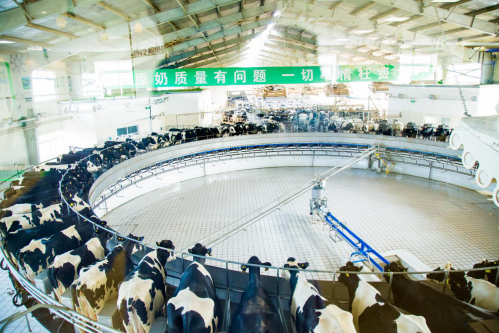 全产业链质量安全下的一杯牛奶，是如何在蒙牛诞生的